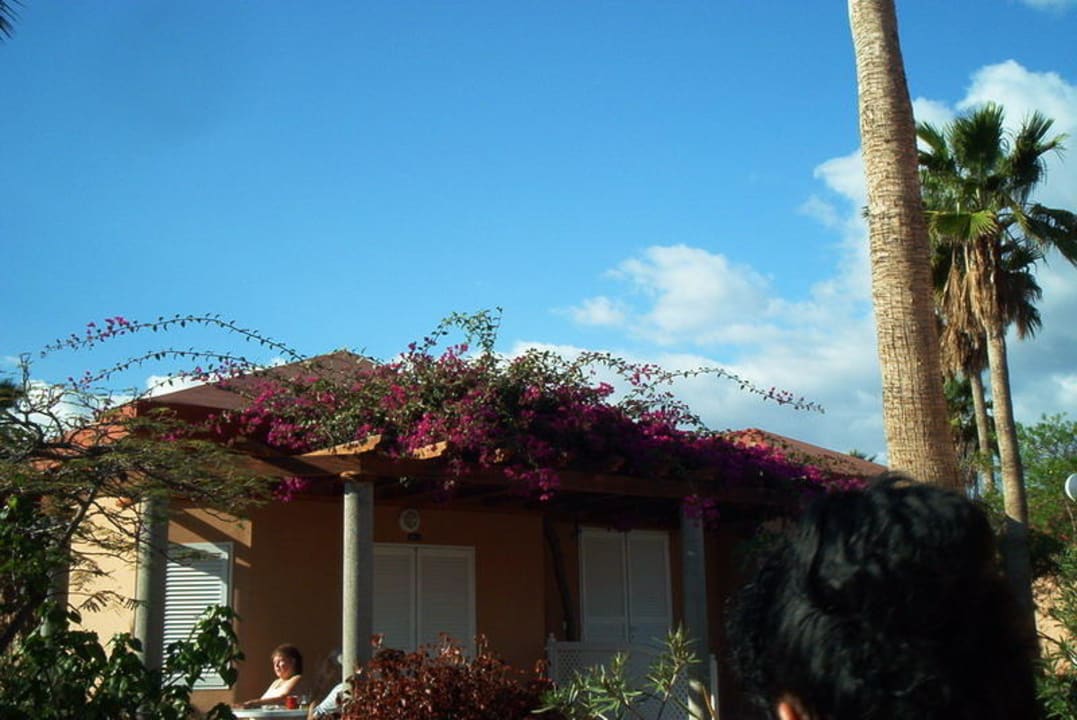 Cay Beach Princess Caybeach Princess