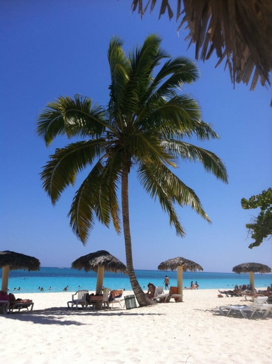 Wunderbare Palme Sol Rio De Luna y Mares
