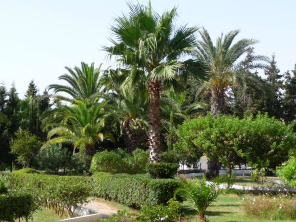 Gartenanlage Iberostar Selection Diar El Andalous