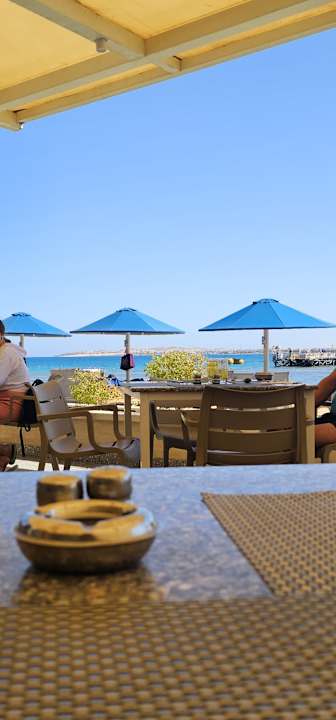 Ausblick Beach Albatros Resort