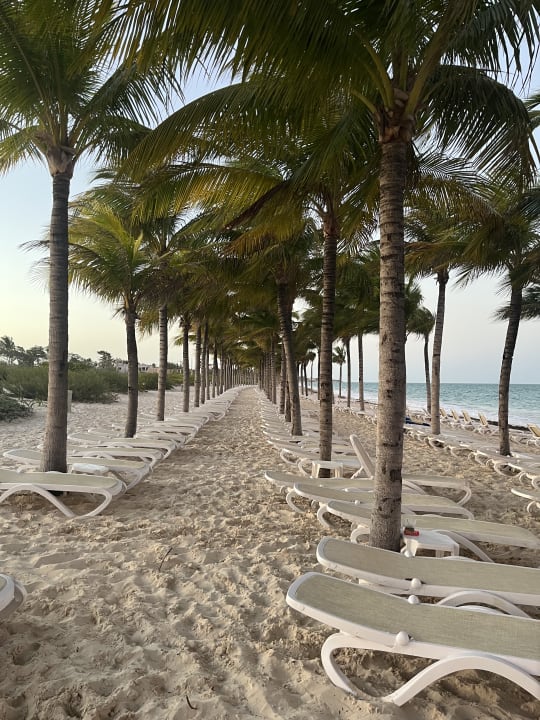 Strand Hotel Riu Dunamar