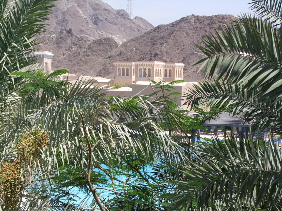 Vue sur piscine et hôtel depuis une chambre Miramar Al Aqah Beach Resort