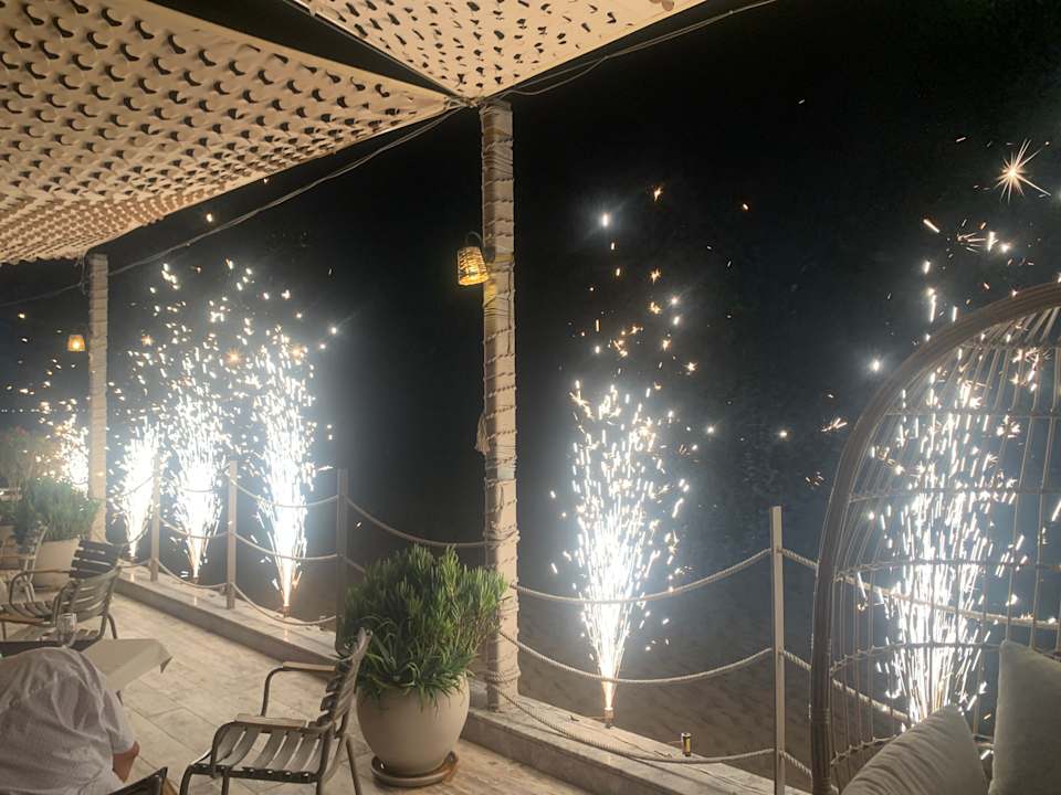 Strand Seashell Vega