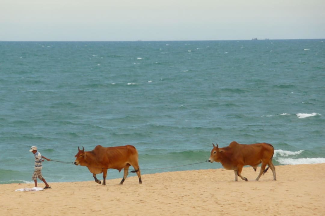 Strandidylle Allezboo Beach Resort & Spa
