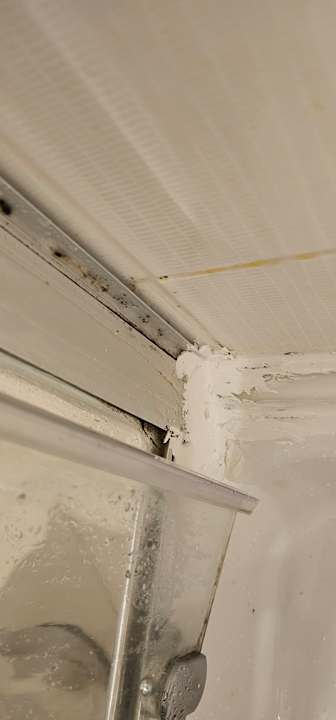 Zimmer Kamelya Aishen Club