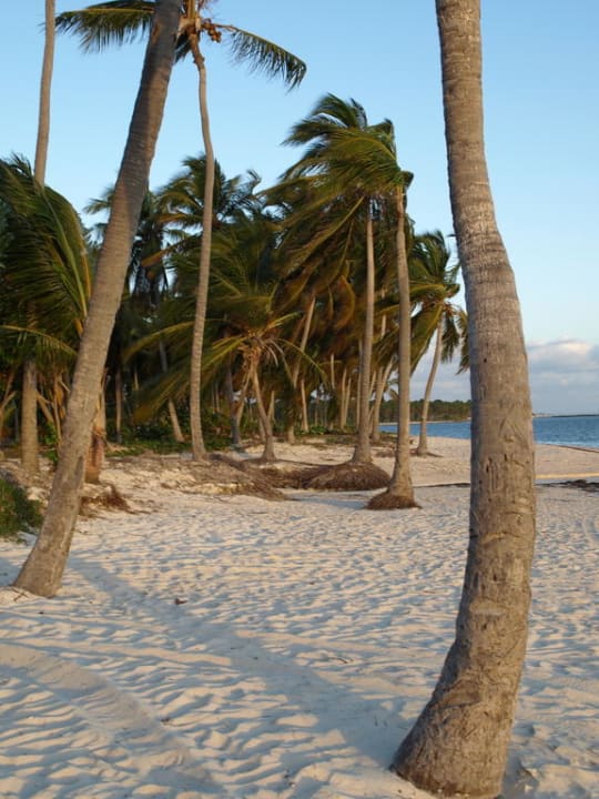 Morgenstimmung, Fernwehgarantiert Catalonia Punta Cana - All Inclusive