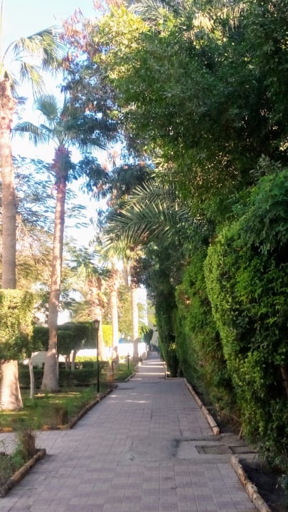 Gartenanlage Regina Resort and Aqua Park Hurghada