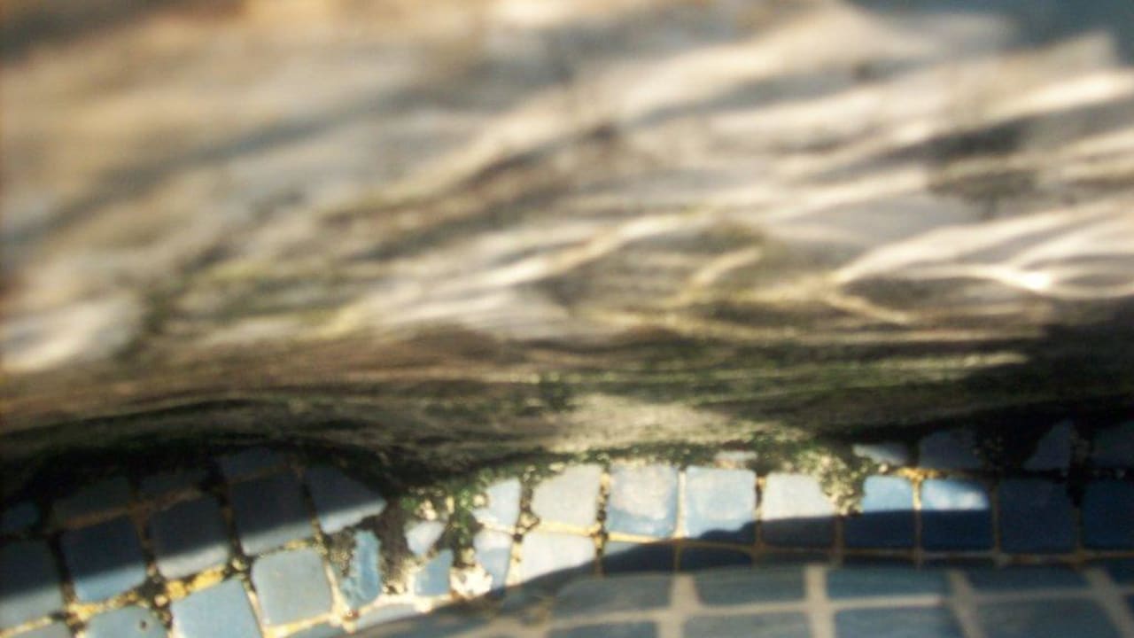 Pool - Schimmel in der Überlaufrinne Orient Life Resort Hotel