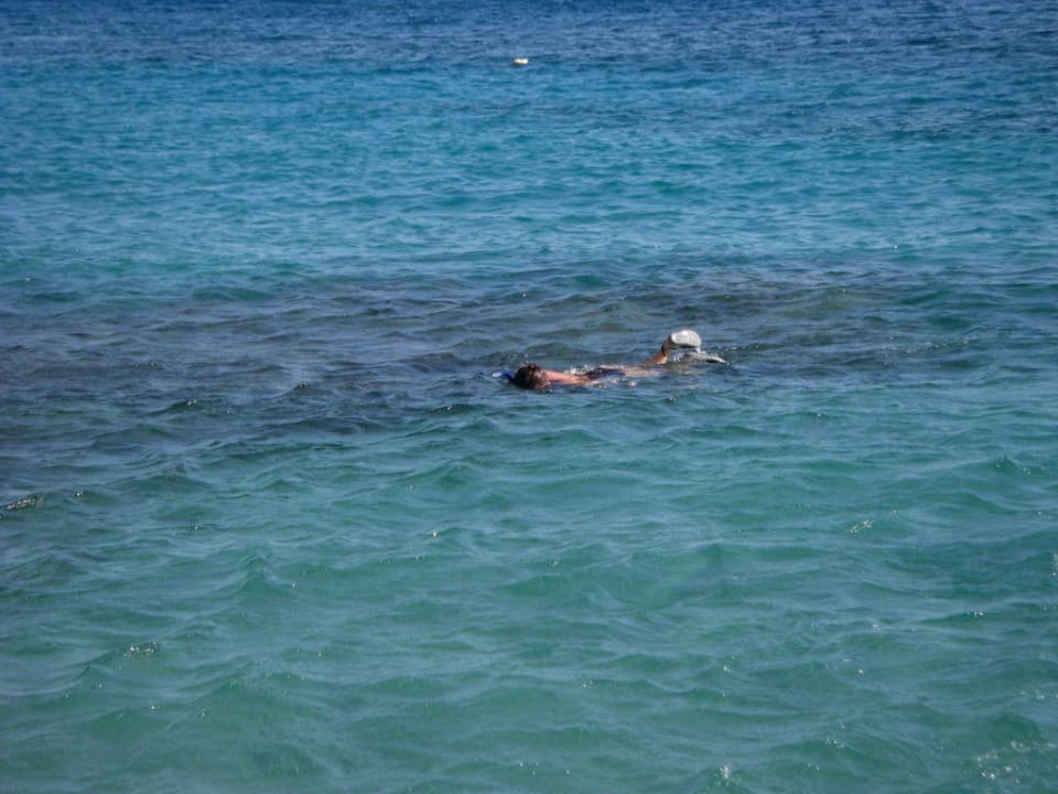 Schnorcheln vor dem Hotel Eagles Paradise Abu Soma