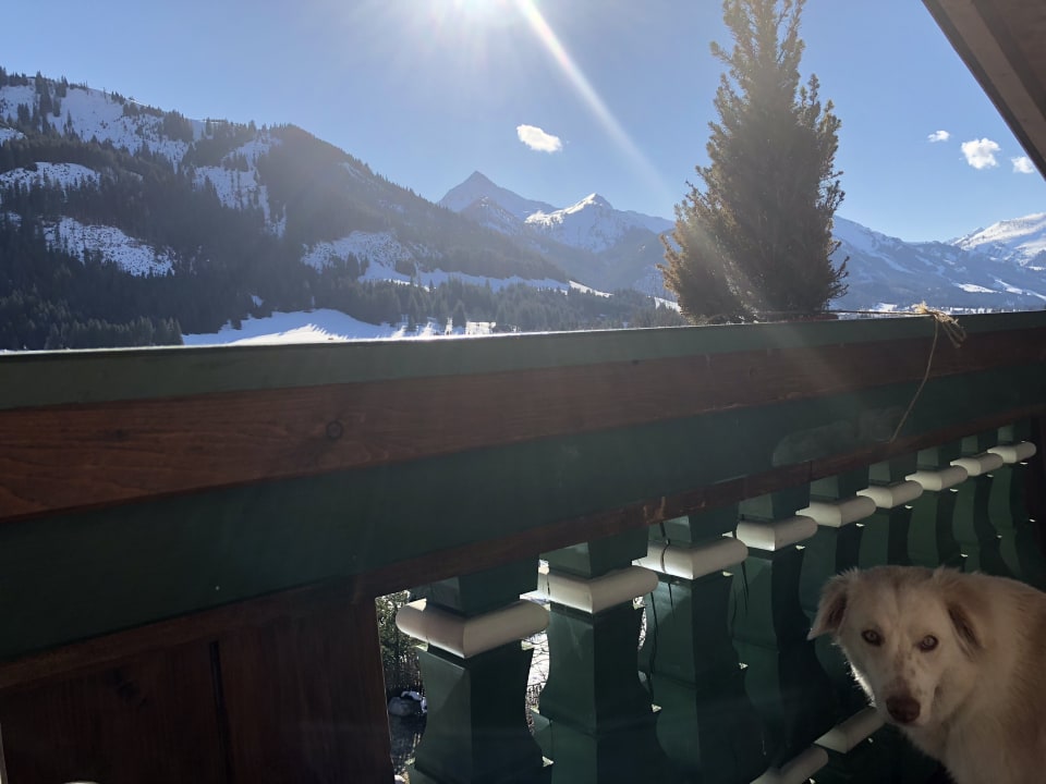 Ausblick Wellnesshotel Engel