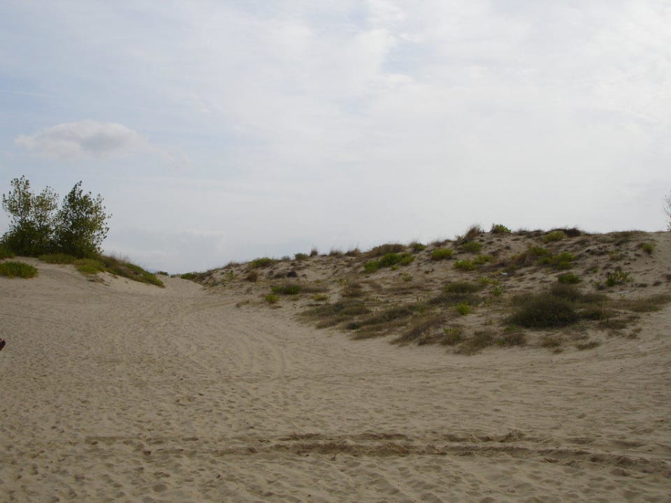 Dünen Hotel Esperanto