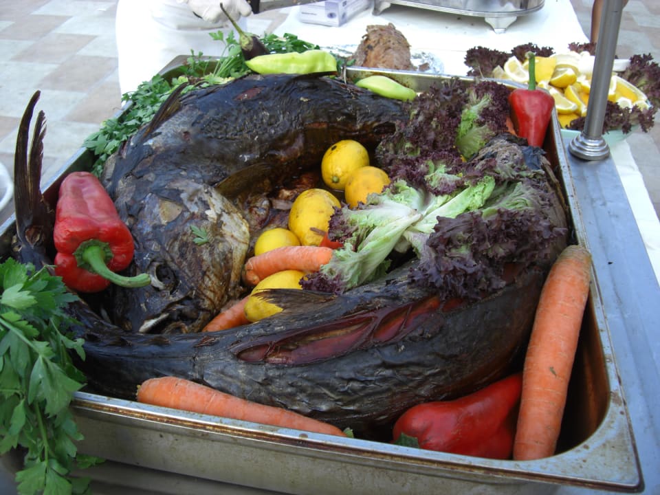 Fisch FUN&SUN Smart Hane Sun Hotel