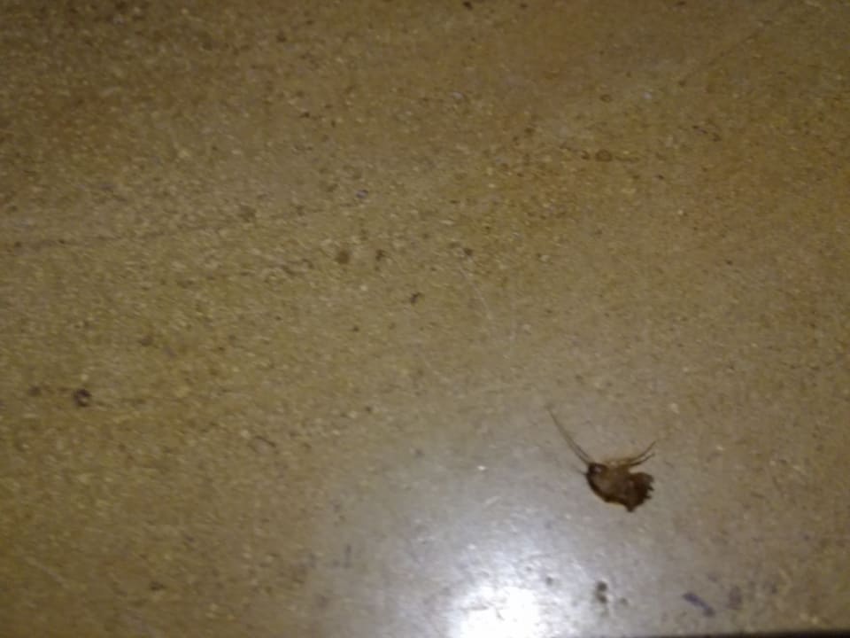 Zimmer Grand Waterworld Makadi & Family Star Makadi