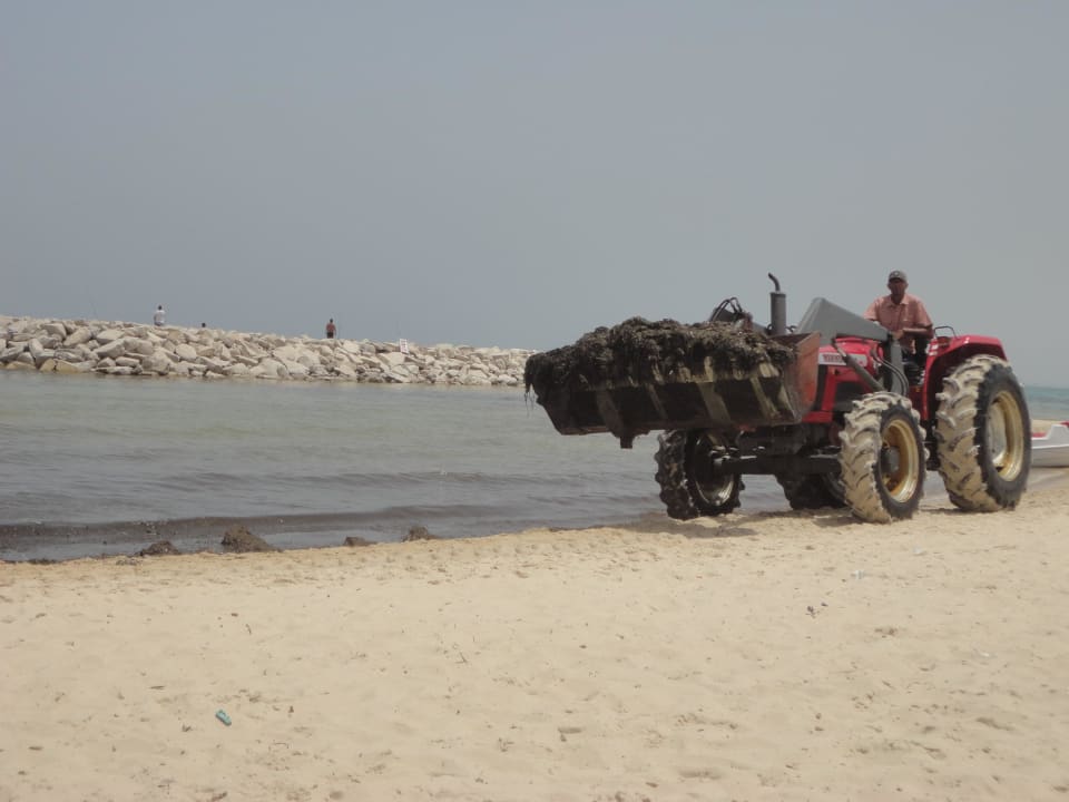 Abtransport der Algen Marhaba Royal Salem