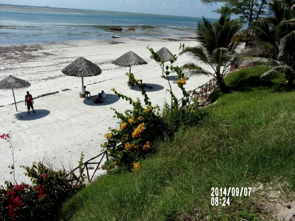 Der dreckige Strand Reef Hotel Mombasa
