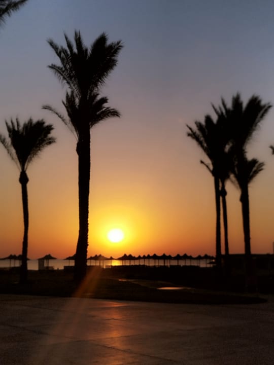 Gartenanlage Stella Beach Resort & Spa Makadi Bay