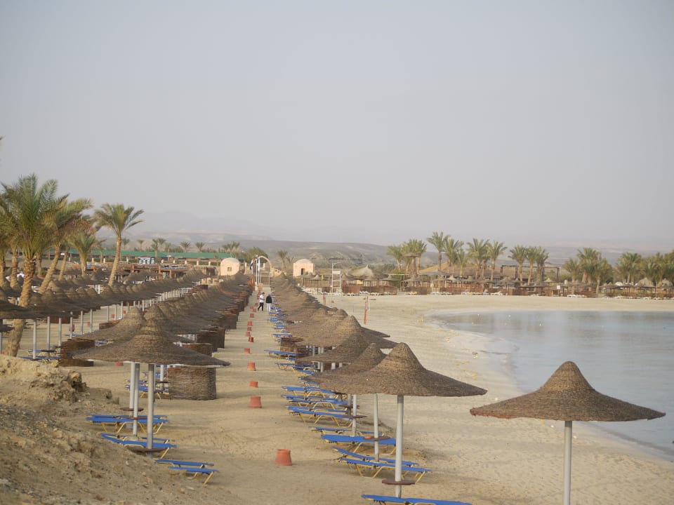 Hotelstrand Malikia Resort Abu Dabbab