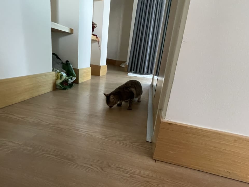 Zimmer Limak Limra Hotel & Resort