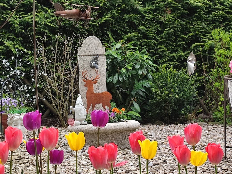 Sonstiges Ferienwohnungen Rebstöckle