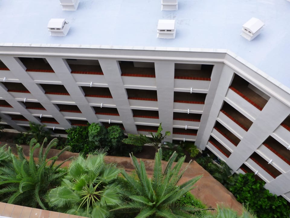 Hotel Hotel Riu Vistamar