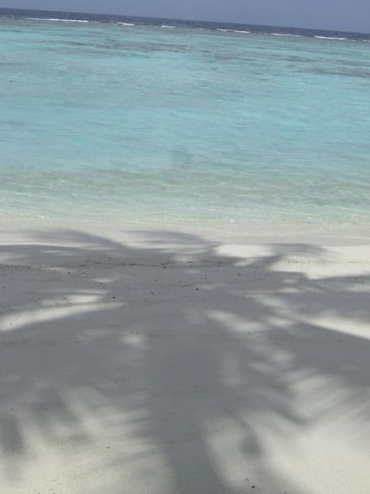 Palme Kuramathi Maldives