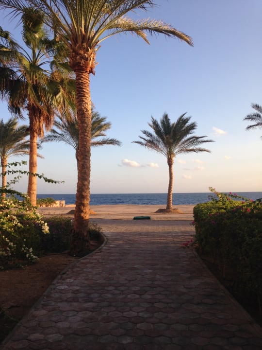 Gartenanlage Steigenberger Coraya Beach - Adults only