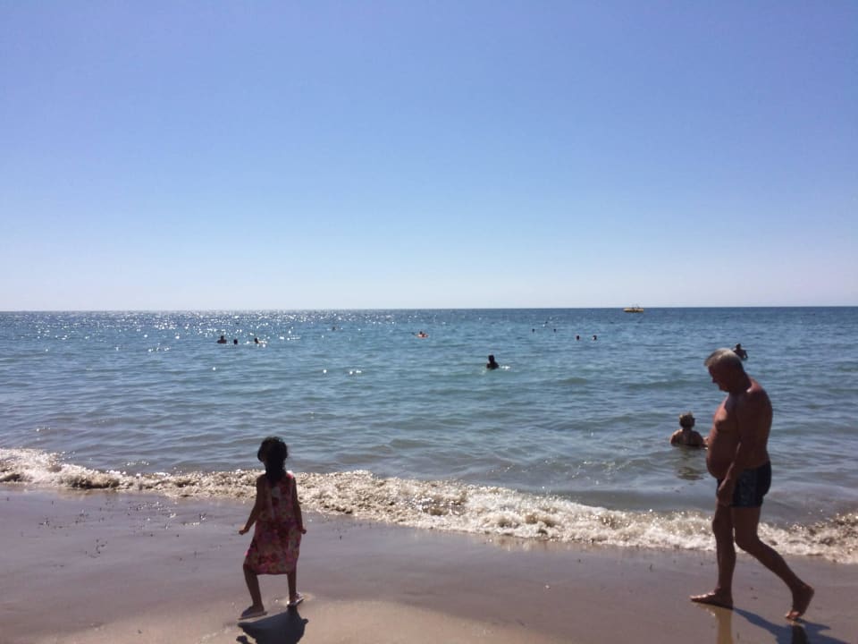 Stand Sidemarin Kirman Premium