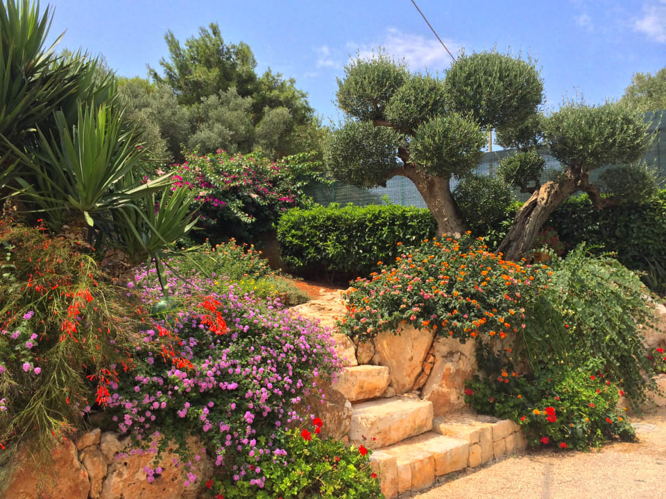 Gartenanlage B&B All'ombra degli ulivi