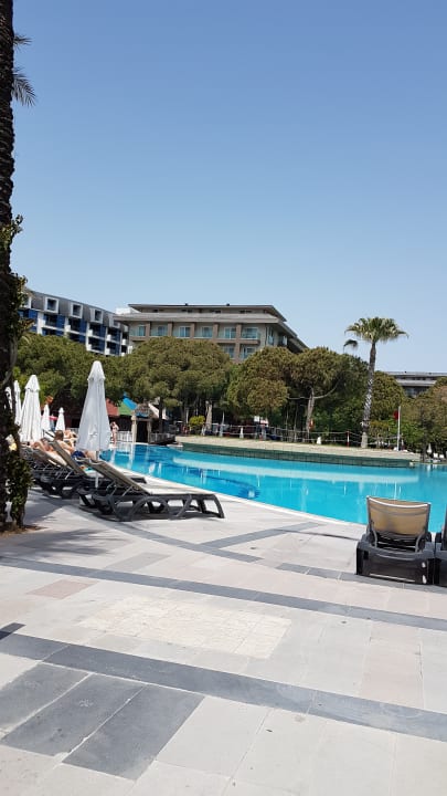 Pool Papillon Ayscha