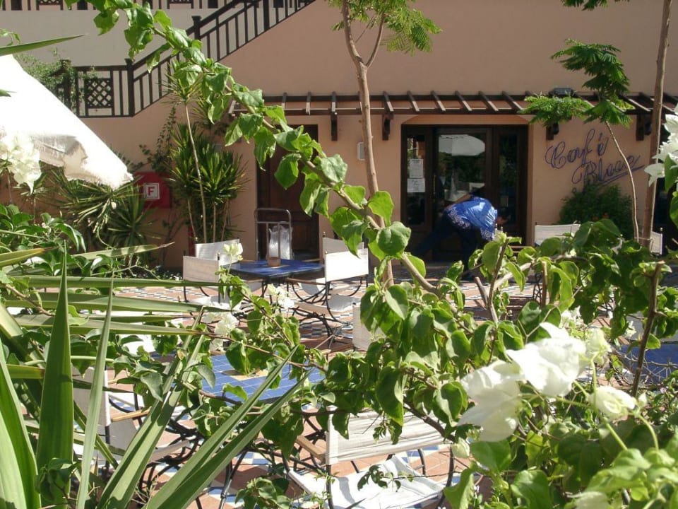 Cafe Blue - Leckerer Cocktails - Spätes Frühstück Jaz Makadi Saraya Resort