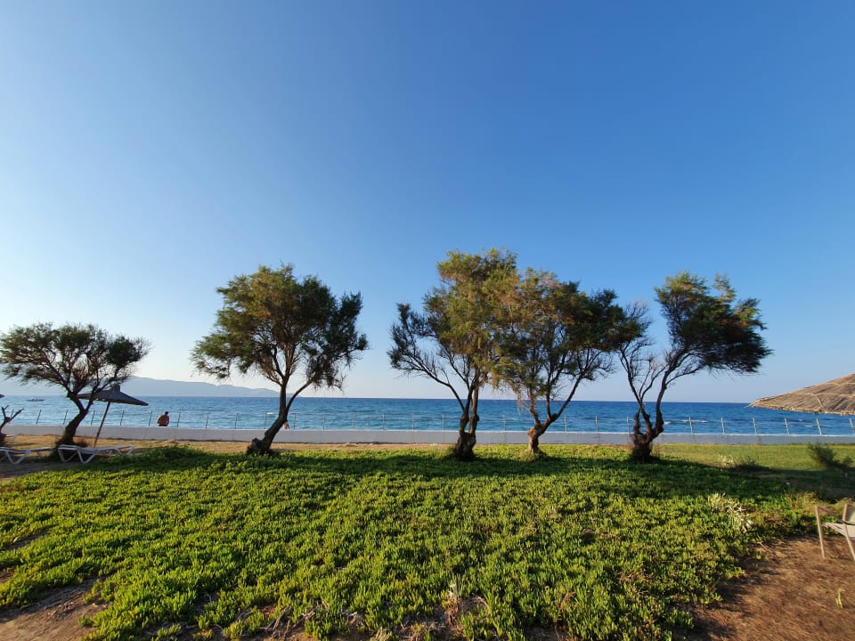 Gartenanlage Civitel Creta Beach
