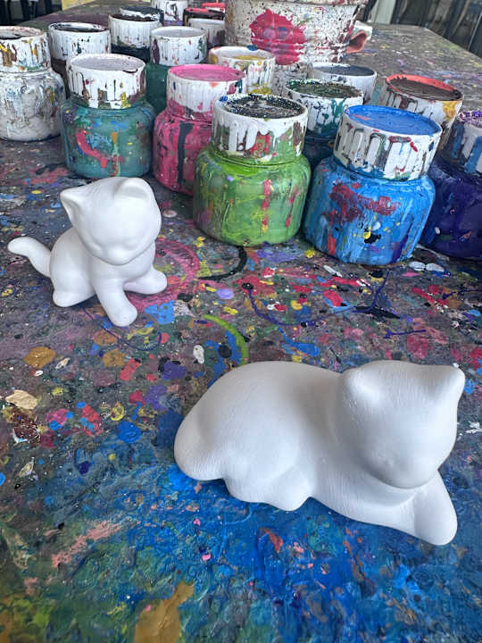 Sport & Freizeit Sol Luna Bay