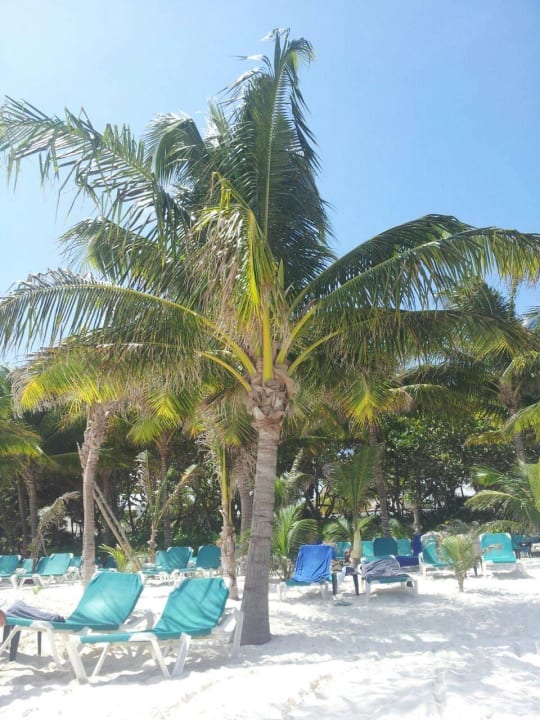 Hotel Catalonia Playa Maroma Catalonia Playa Maroma