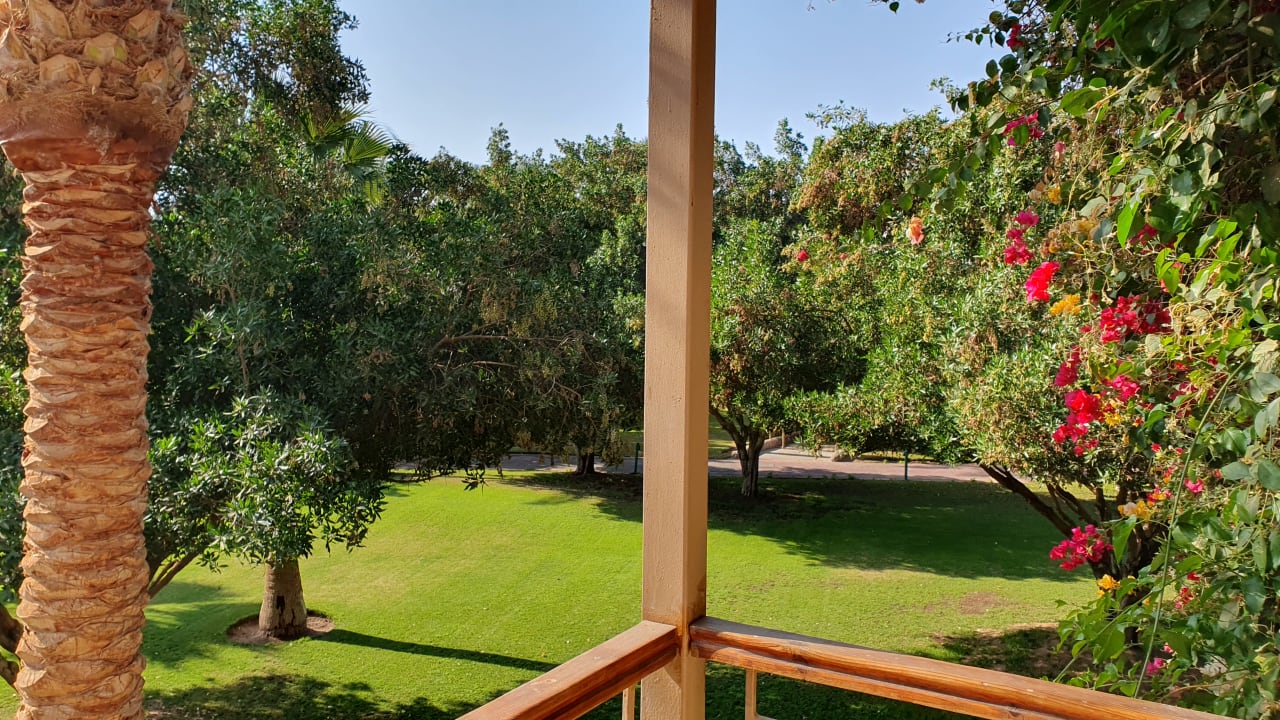 Gartenanlage Desert Rose