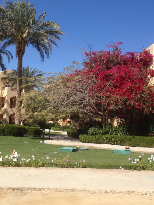 Gartenanlage Steigenberger Coraya Beach - Adults only