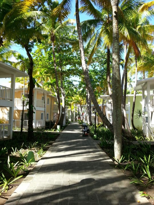 Weg zu den Zimmern Playabachata Hotel