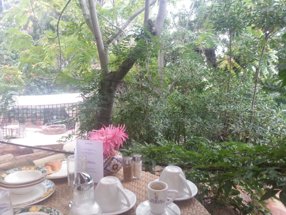 Blick in den Garten Hotel Alberi Del Paradiso