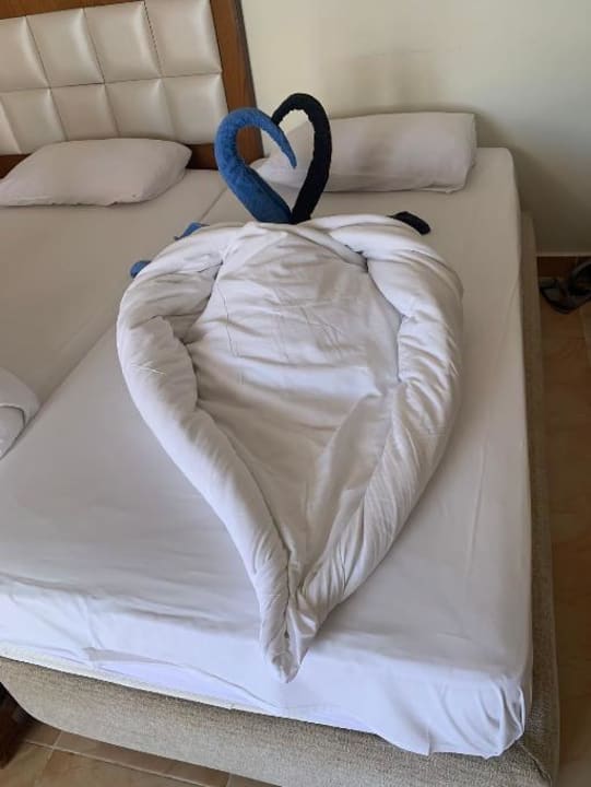 Zimmer Pickalbatros Alf Leila Wa Leila Resort - Neverland Hurghada