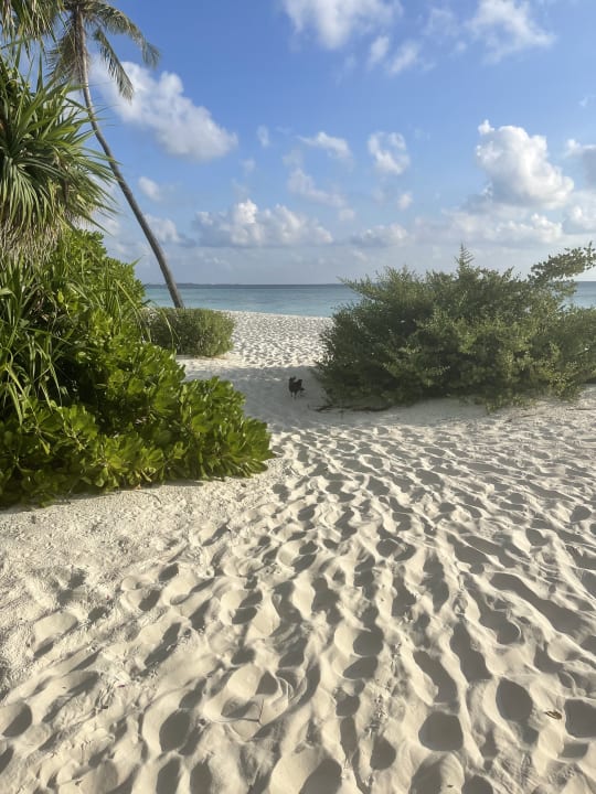 Strand ROBINSON NOONU