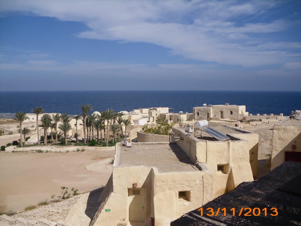 Ausblick vom Zimmer The Oasis Dive Resort