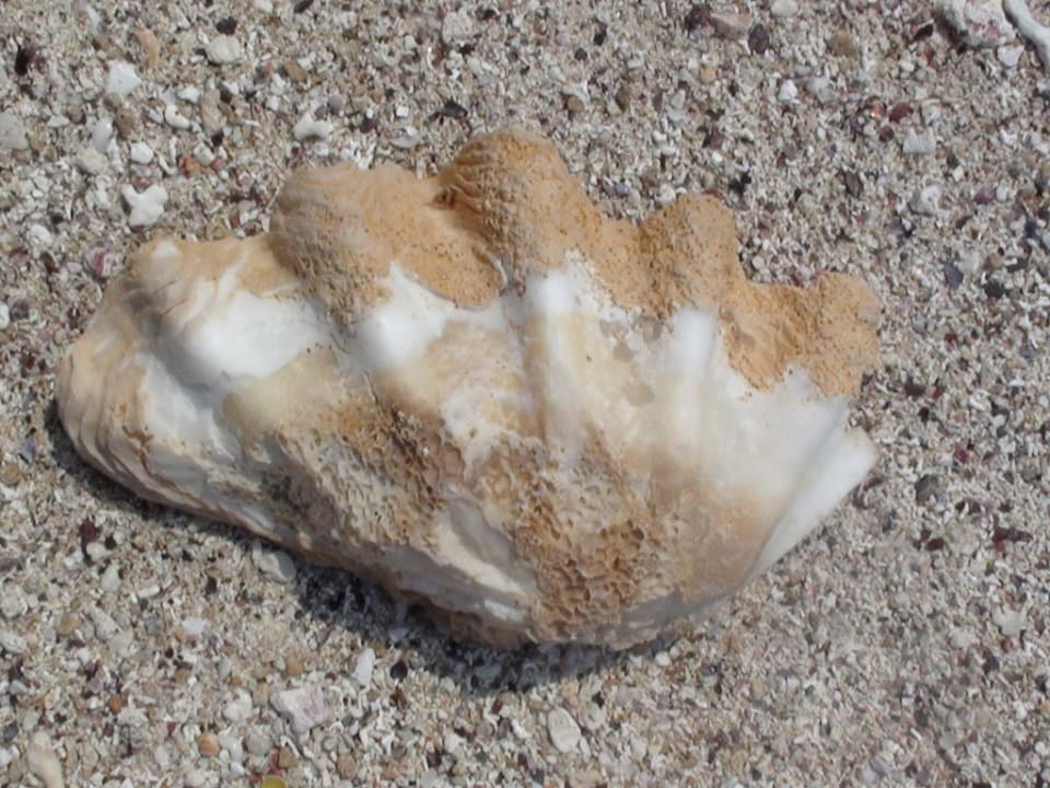 Einfach schön Brayka Bay Resort