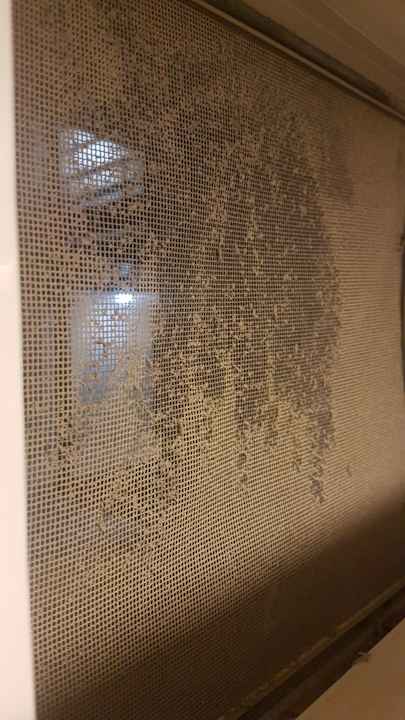 Zimmer Limak Limra Hotel & Resort