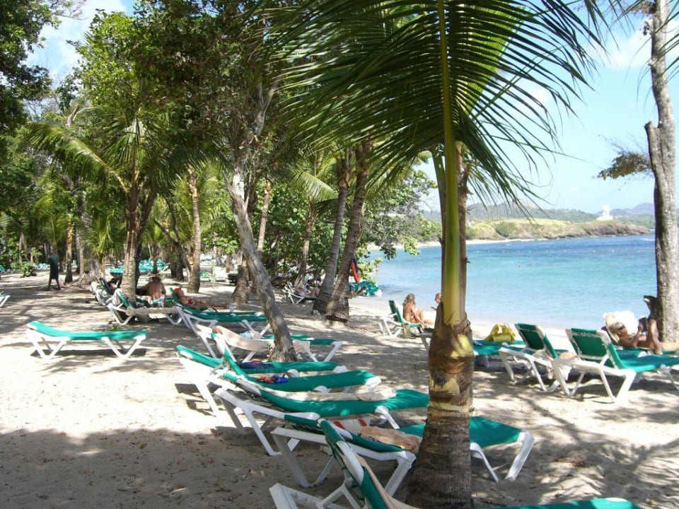 Strand Merengue Playabachata Hotel