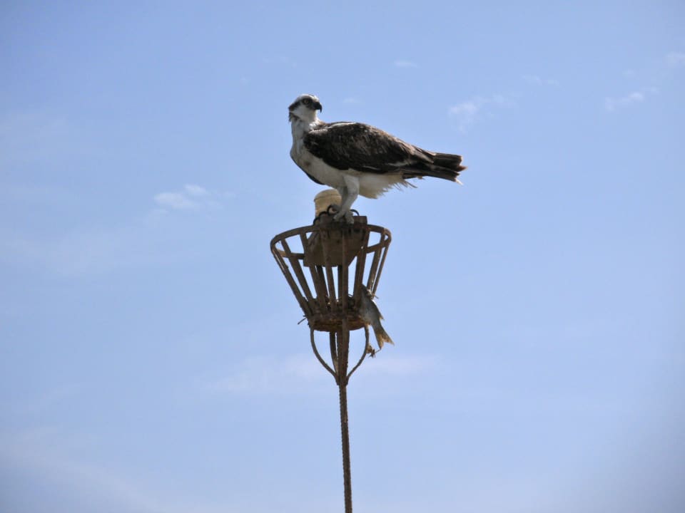 Seeadler Brayka Bay Resort