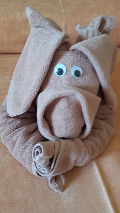 Zimmer Hotel Riu Palace Palmeras