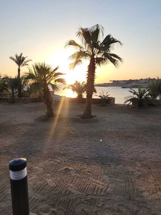 Ausblick Steigenberger Coraya Beach - Adults only