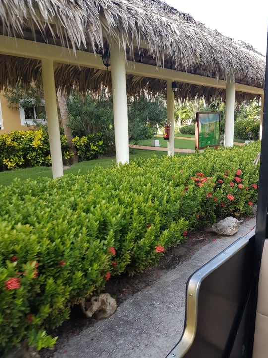 Gartenanlage TRS Turquesa Hotel - Adults only