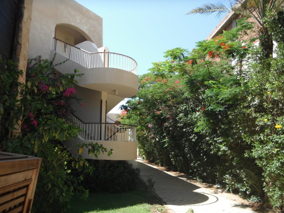 Treppenaufgang zu den Zimmern Prima Life Makadi Resort