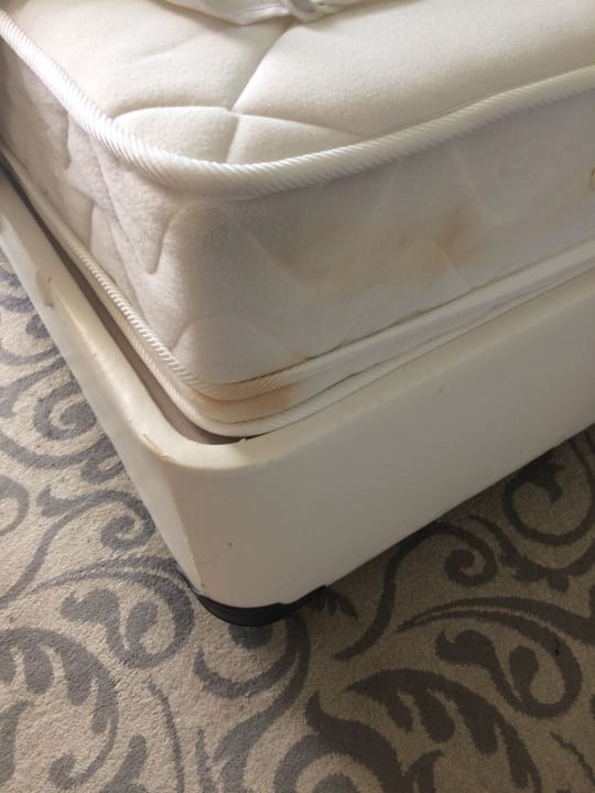 Zimmer Q Premium Resort