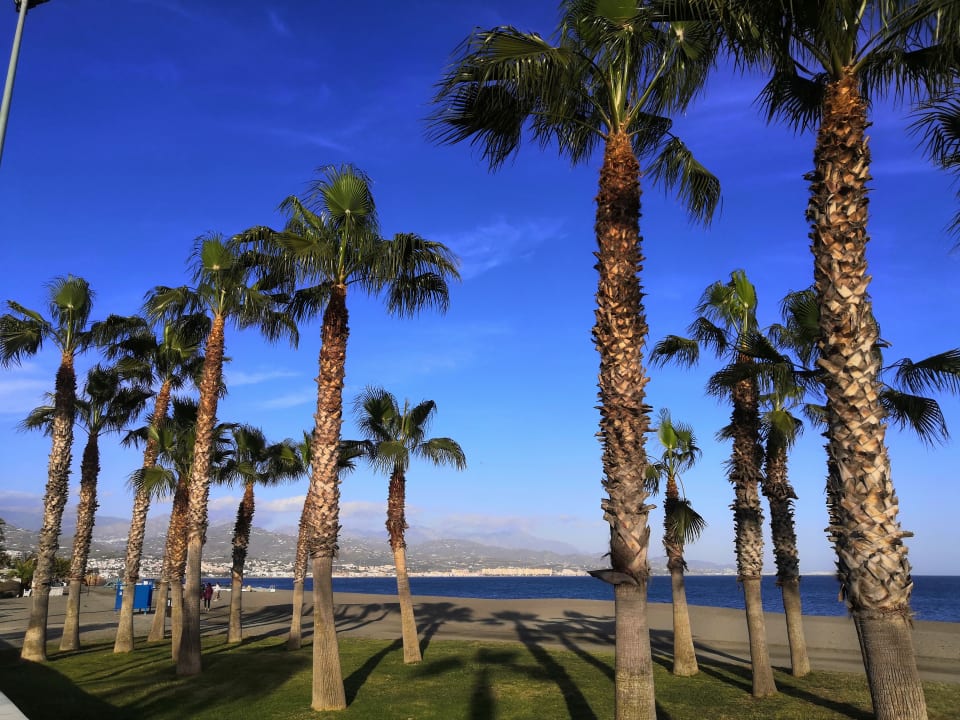 Strand BQ Andalucia Beach Hotel
